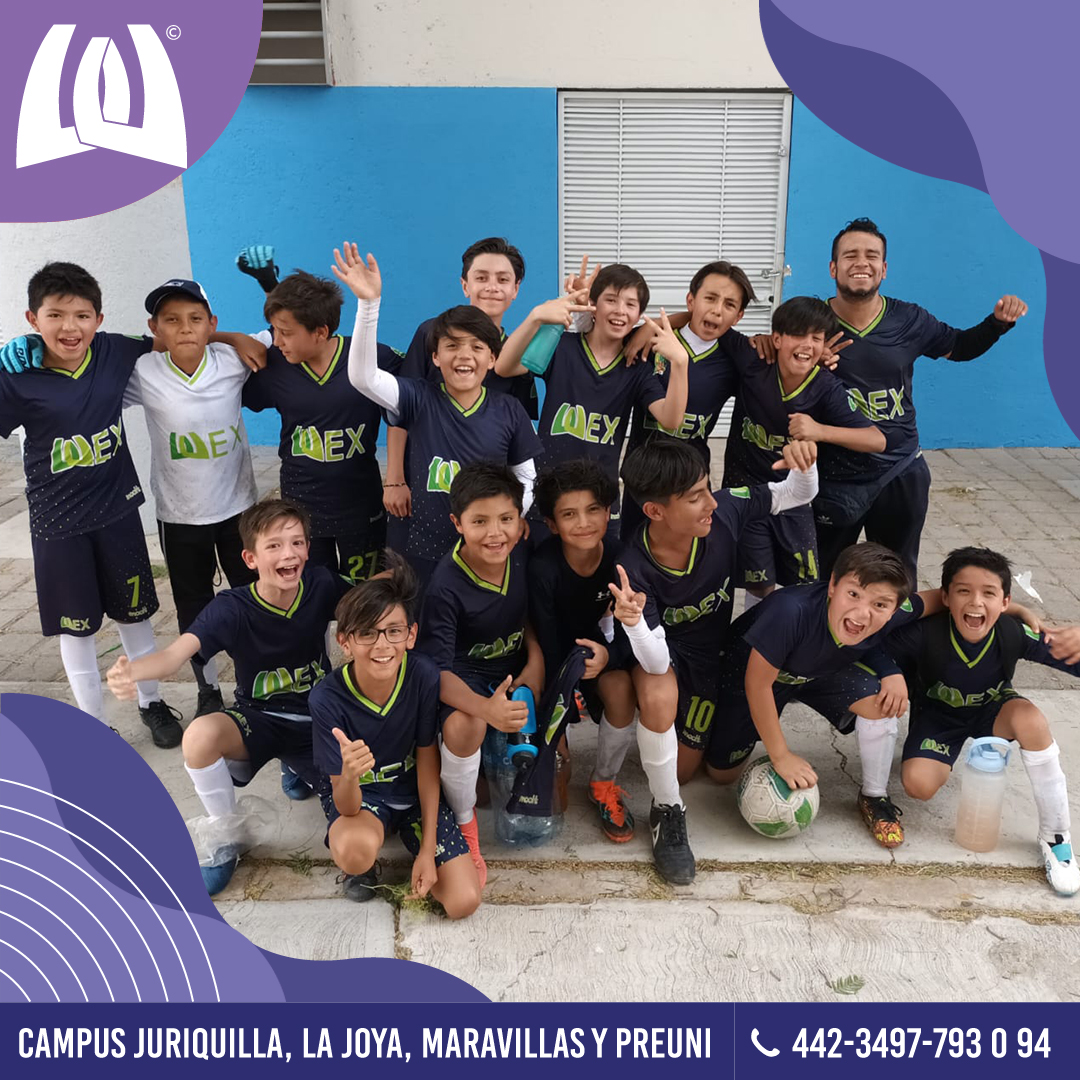 Colegio Wexford Primaria