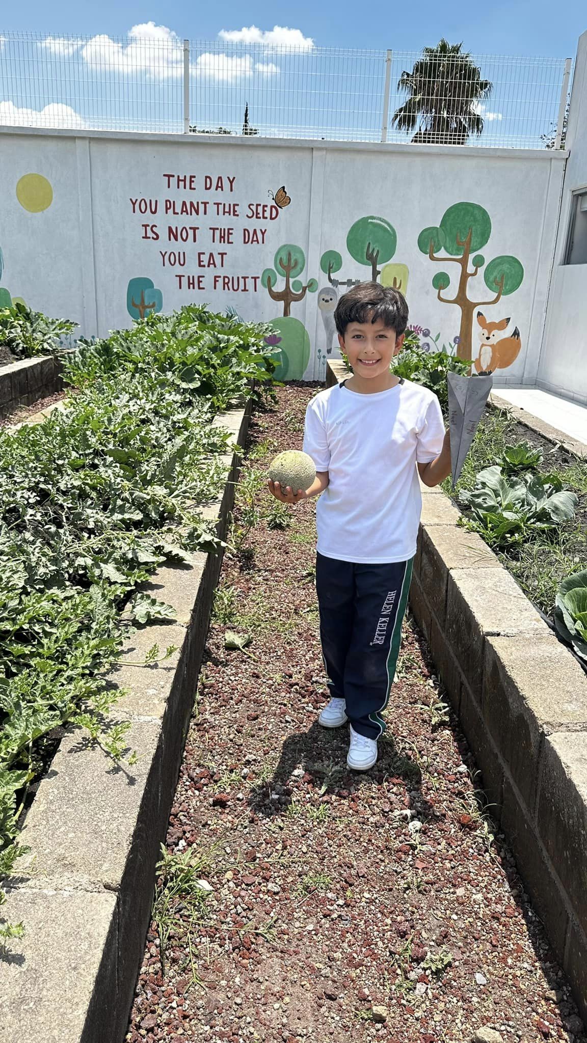 Colegio Helen Keller Primaria